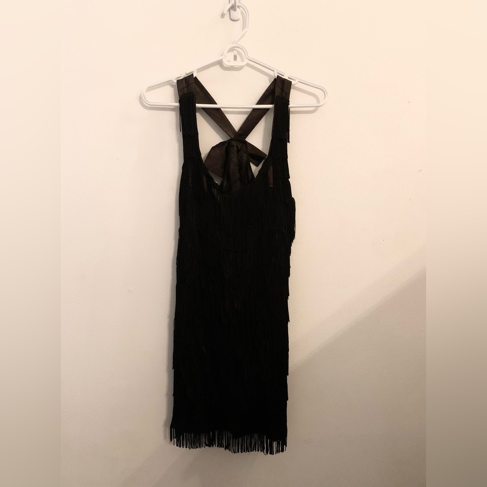 1920s Style Black Fringe Flapper Girl Dress Halloween Costume
